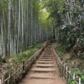 神社で話しかけられる意味とは？｜気多神社で体験した神様からのメッセージ｜江東区ヒーラーが贈る人生相談